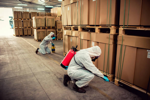Best Local Pest Control Services  in Edgerton, KS