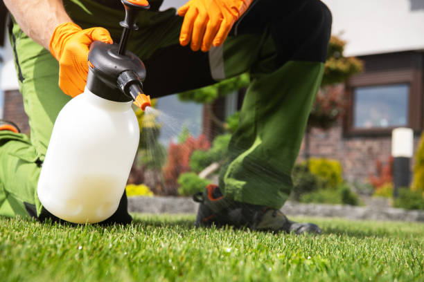 Best Cockroach Control Services  in Edgerton, KS