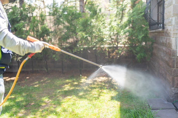 Best Best Pest Control Companies  in Edgerton, KS