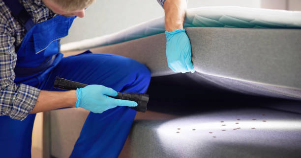 Best Flea Control Services  in Edgerton, KS