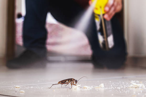 Best Affordable Pest Control Services  in Edgerton, KS