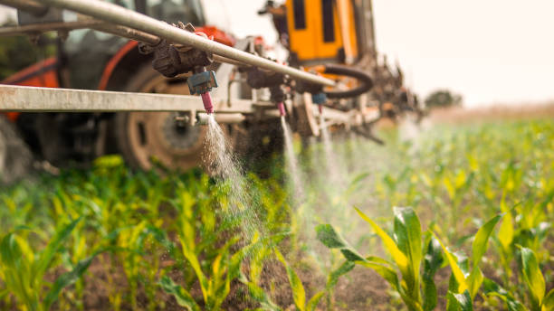 Best Insect Control  in Edgerton, KS
